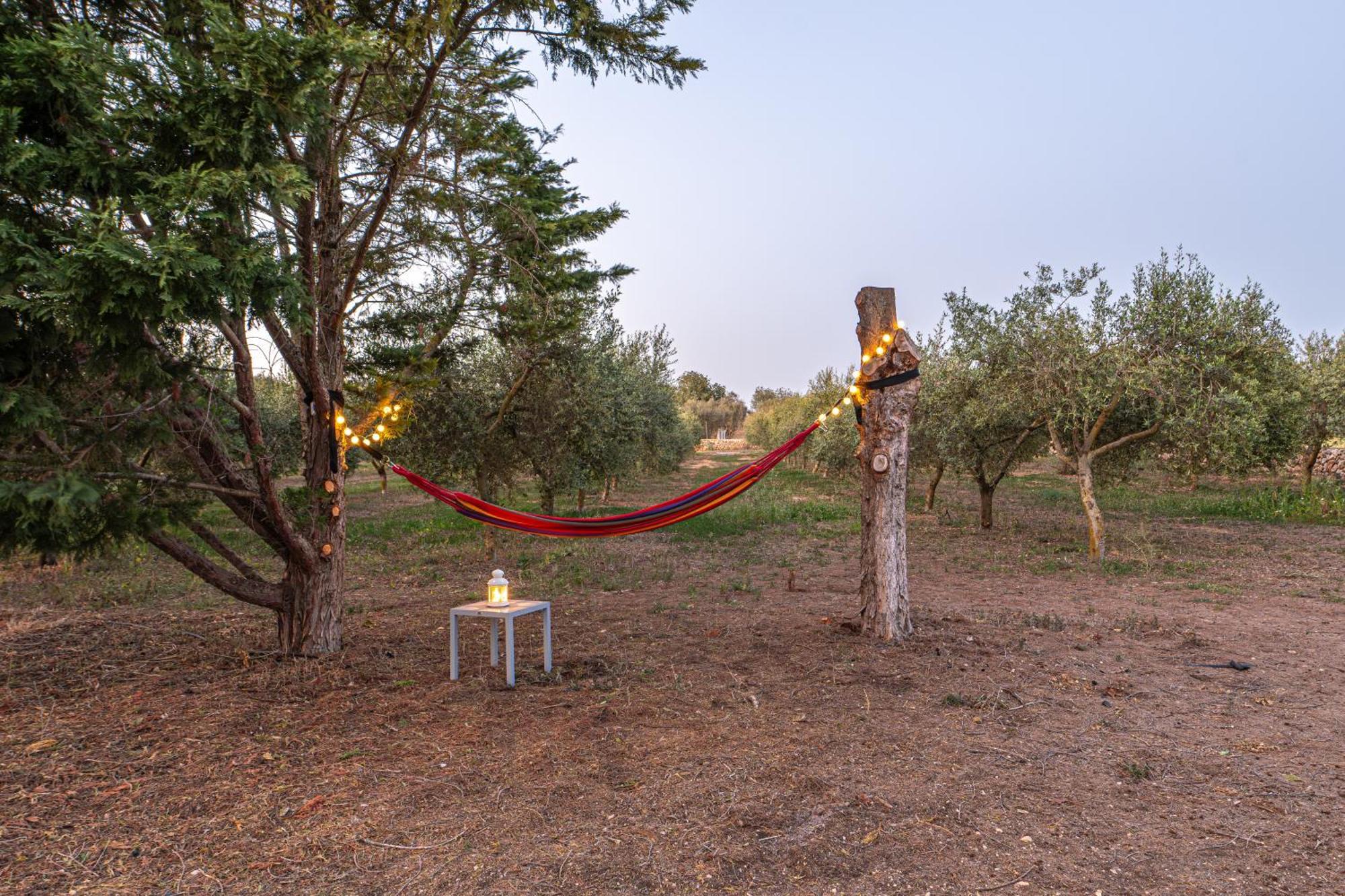 Гостьовий будинок Finca Girasols Кампос Екстер'єр фото